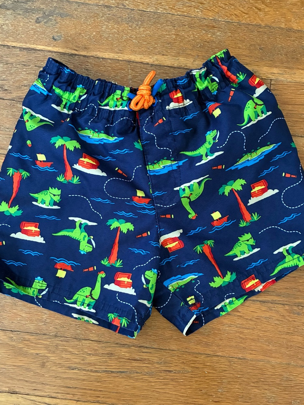 Dino Swim Trunks